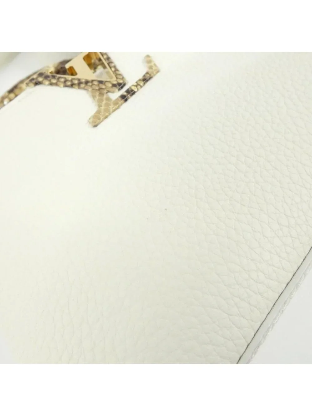 Louis Vuitton Exotic Leather Capucines Bag